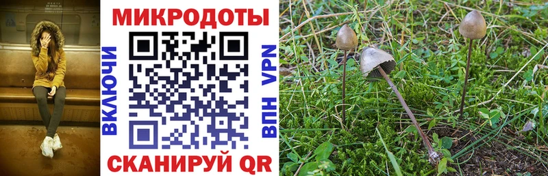 где можно купить   Билибино  Галлюциногенные грибы Psilocybine cubensis 